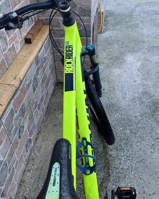 Bici mtb