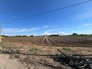 TER. AGRICOLO A MESAGNE