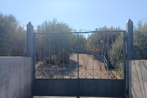 Villetta con uliveto redditizio ad Adrano