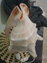 lampada a conchiglia