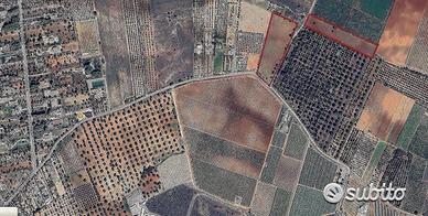 Terreno in C/da Mannara di Mq. 26.290