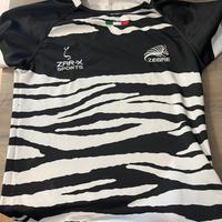 Maglia rugby zebre parma