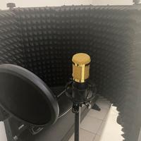 Microfono Neewer NW-800 + asta regolabile + suppor