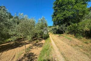 TER. AGRICOLO A POGGIO A CAIANO