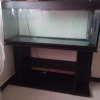 Acquario 