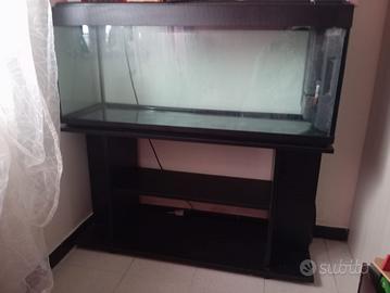 Acquario 