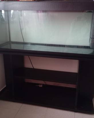 Acquario 