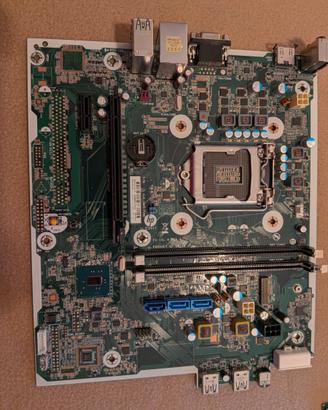 Scheda madre lga1151 hp 290 G1