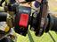 Immagine 19