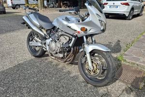 Honda Hornet