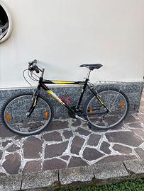 Mountain bike