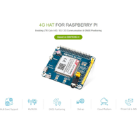 Modulo HAT Raspberry LTE 4G