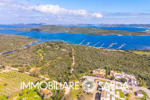 Terreno edificabile - Santa Teresa Gallura