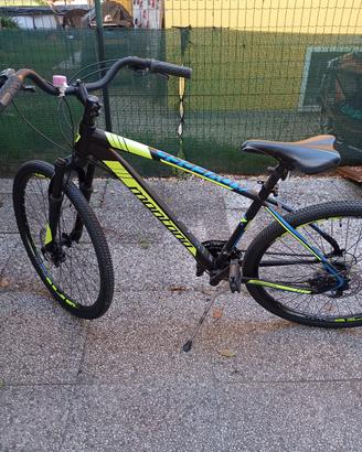 Mountain Bike Usata “Montana”