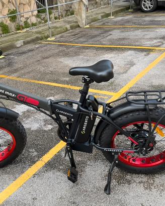 Argento mini max E-bike