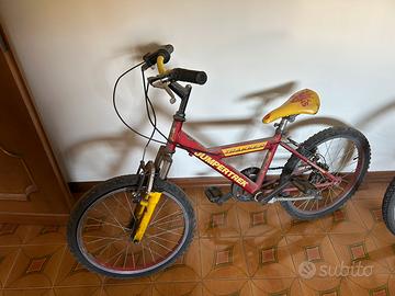 Bicicletta
