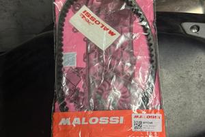 Cinghia Trasmissione Malossi X Special Piaggio