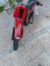 lem 50 4 tempi