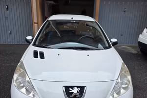 Peugeot 206 plus gpl