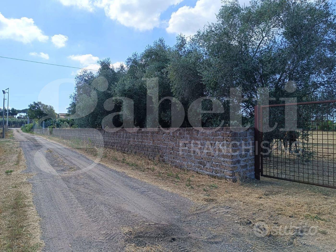 Terreno Agricolo Nettuno [Cod. rif ROCCA PRIORVCG] - View 4