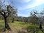Immagine 15