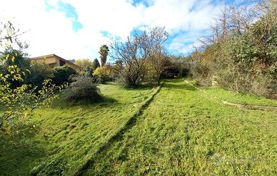 Terreno pianeggiante