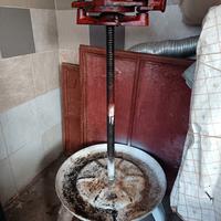 Torchio pressa per Uva usata