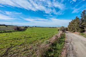Terreno agricolo edificabile
