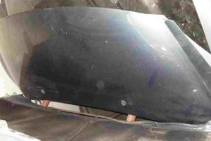 COFANO ANTERIORE PEUGEOT 207 1Â° Serie 8HZ (06>09)