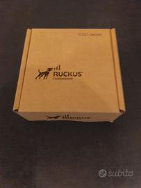 RUCKUS Networks