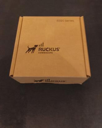 RUCKUS Networks