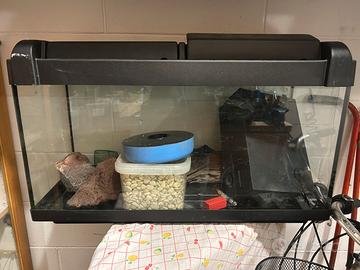 Acquario 70Lt