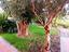 Immagine 11