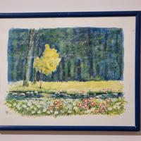 Acquarello con cornice 