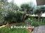 Immagine 20