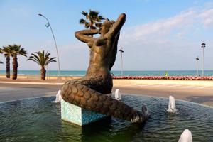 Appart.varie dim.vicini al mare a TORTORETO LIDO
