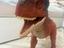 Immagine 3