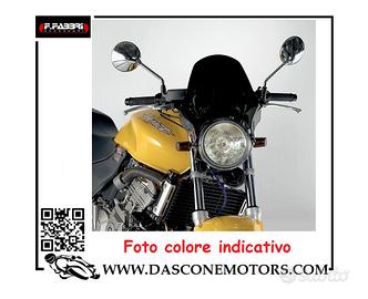 Cupolino Ducati Monster hornet Naked