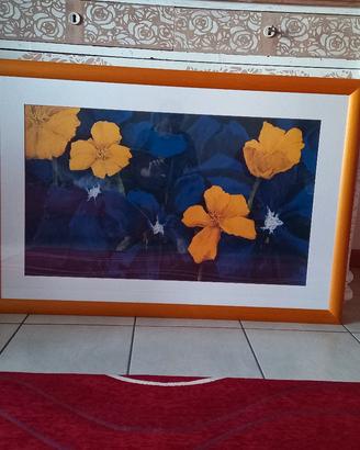 stampa di Charles Belle