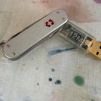 Victorinox swissbit 512 mb.