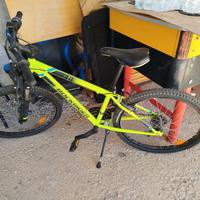 Mountain bike 