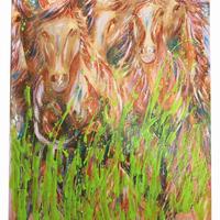 Cavalli selvaggi 70x100