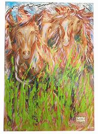 Cavalli selvaggi 70x100