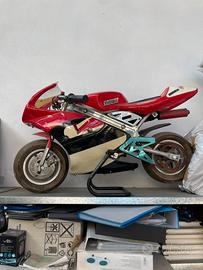 minimoto 50cc pista ferma da un anno