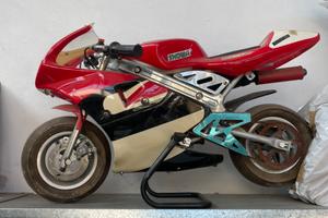 minimoto 50cc pista ferma da un anno