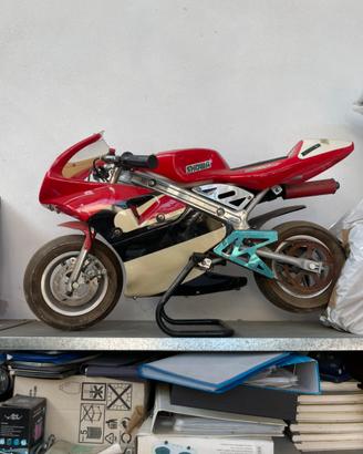 minimoto 50cc pista ferma da un anno