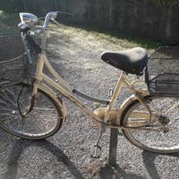 Bicicletta donna