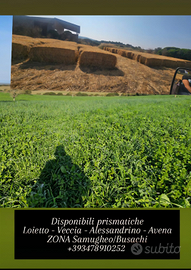 Fieno - prismatiche 90*90*200 - rotoballe