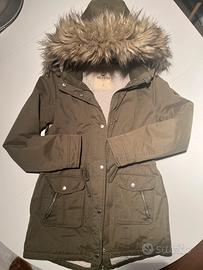 PARKA  DELLA  HOLLISTER