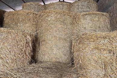 Rotoli di fieno